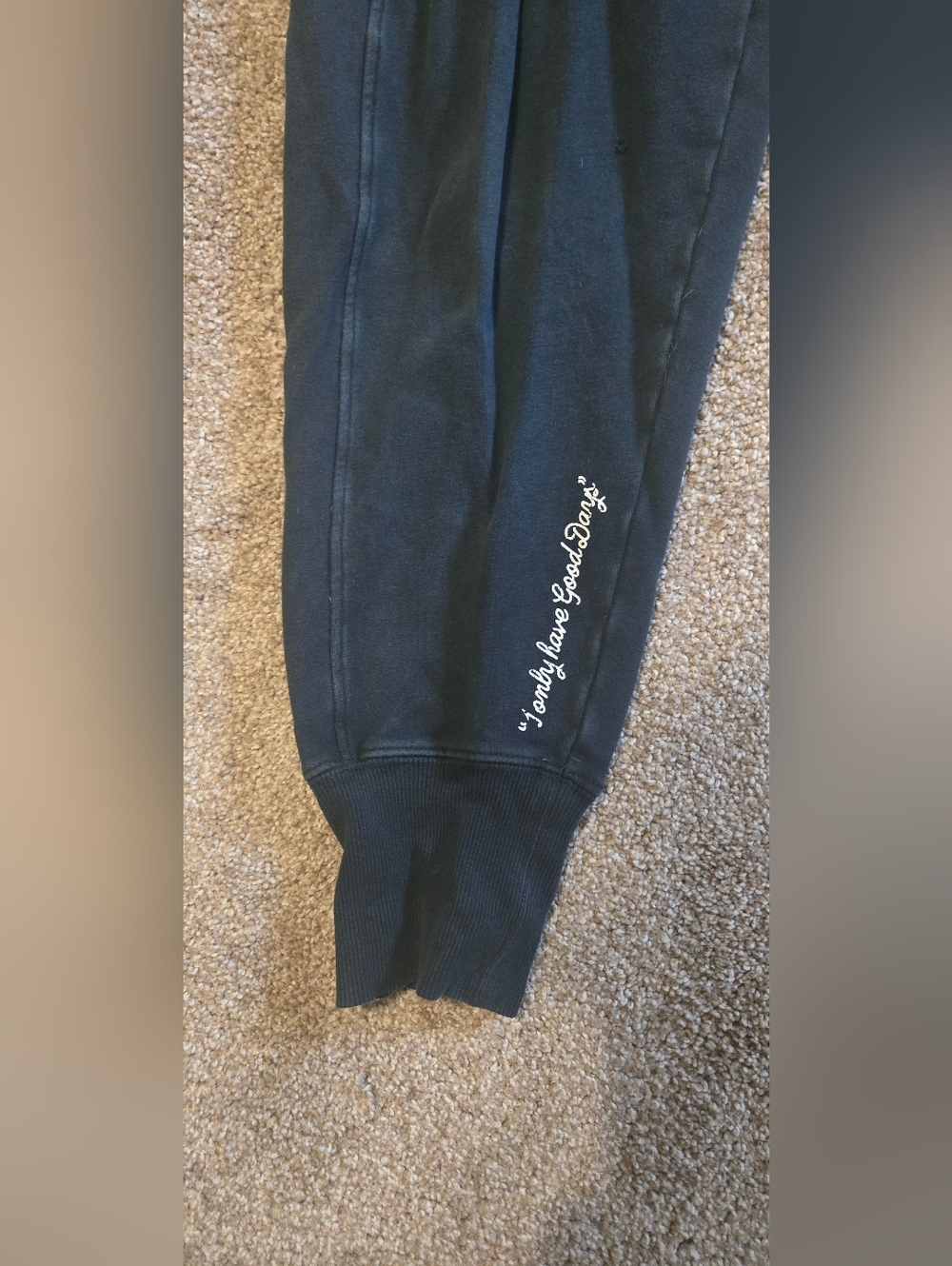 Flag Nor Fail Joggers - Picture 3 of 7